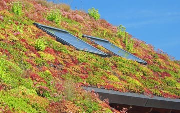 Trotton living roof systems