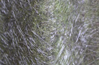 Trotton fibreglass roof work